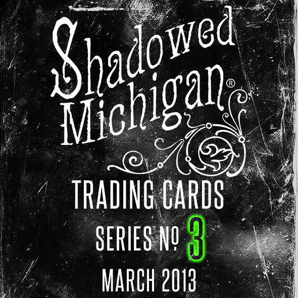 Shadowed Michigan Series No 3 Teaser